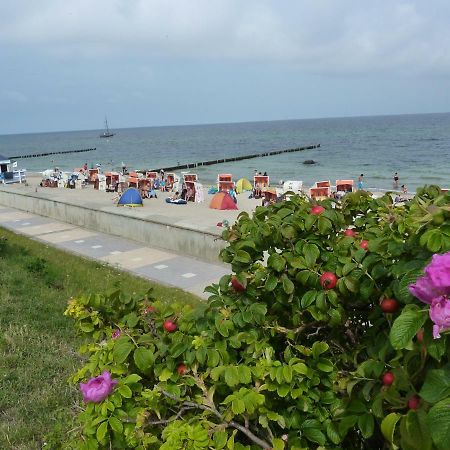 Ostseebad Kühlungsborn Villa Patricia מראה חיצוני תמונה