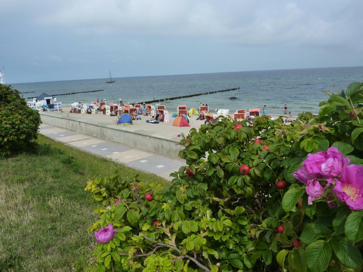 Ostseebad Kühlungsborn Villa Patricia מראה חיצוני תמונה